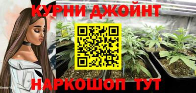 мдпв Обнинск