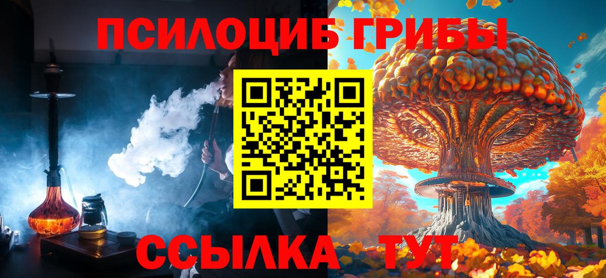 Амурск  Галлюциногенные грибы Psilocybe  Вход с VPN  Галлюциногенные грибы GOLDEN TEACHER 