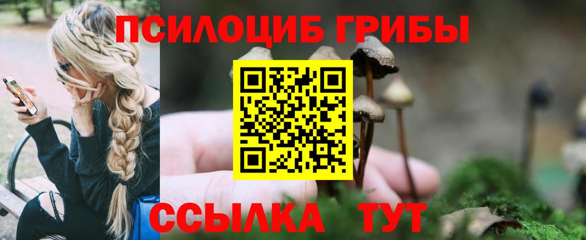 Псилоцибиновые грибы Cubensis Амурск